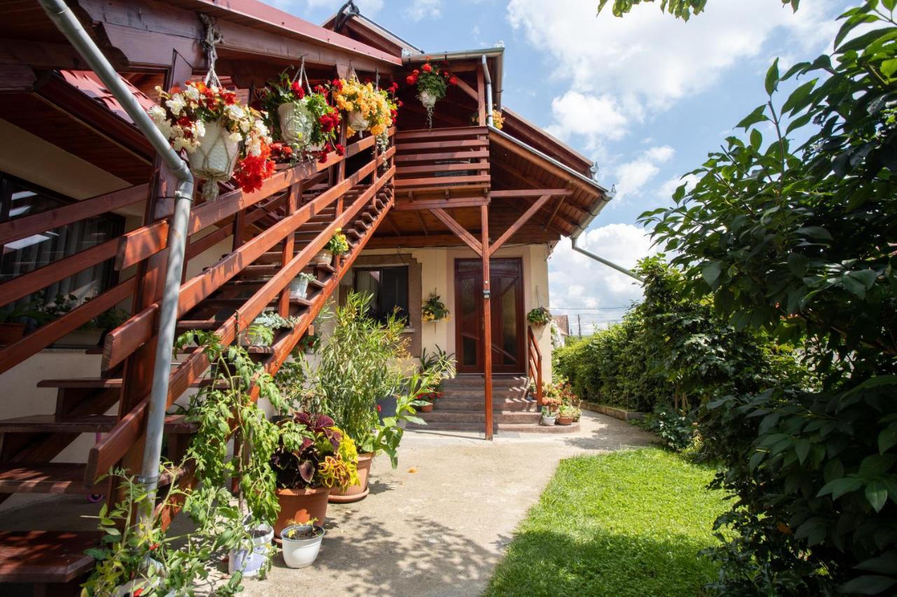 Pensiune Saroklak Sîncraiu Exterior foto