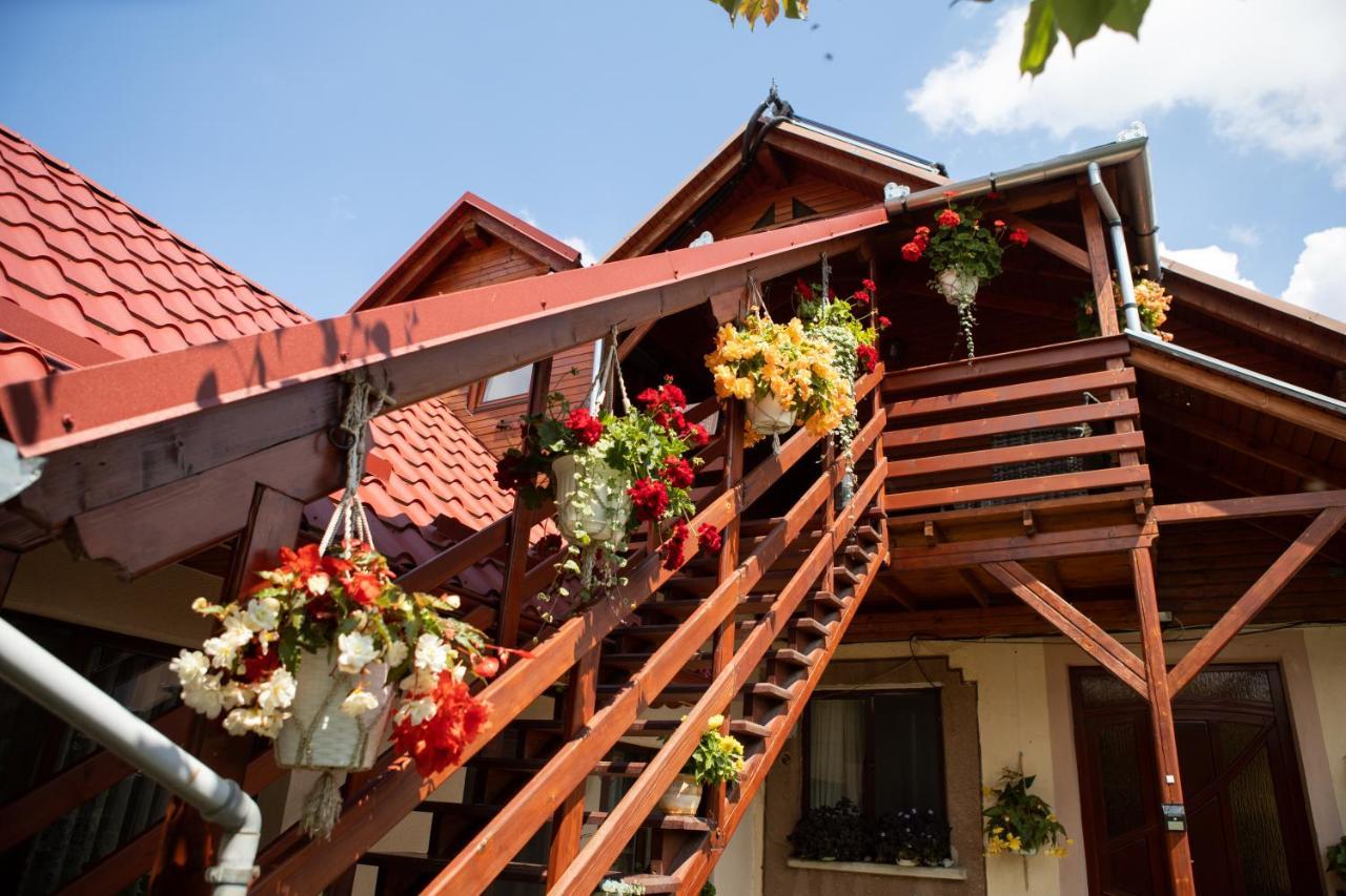 Pensiune Saroklak Sîncraiu Exterior foto
