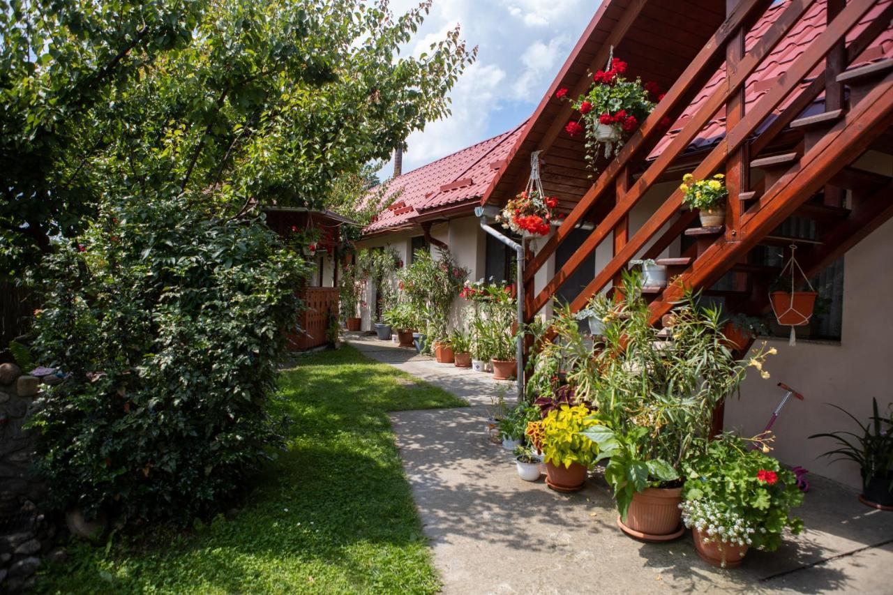 Pensiune Saroklak Sîncraiu Exterior foto